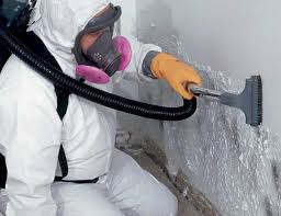 Best Emergency Mold Remediation  in Lennox, CA